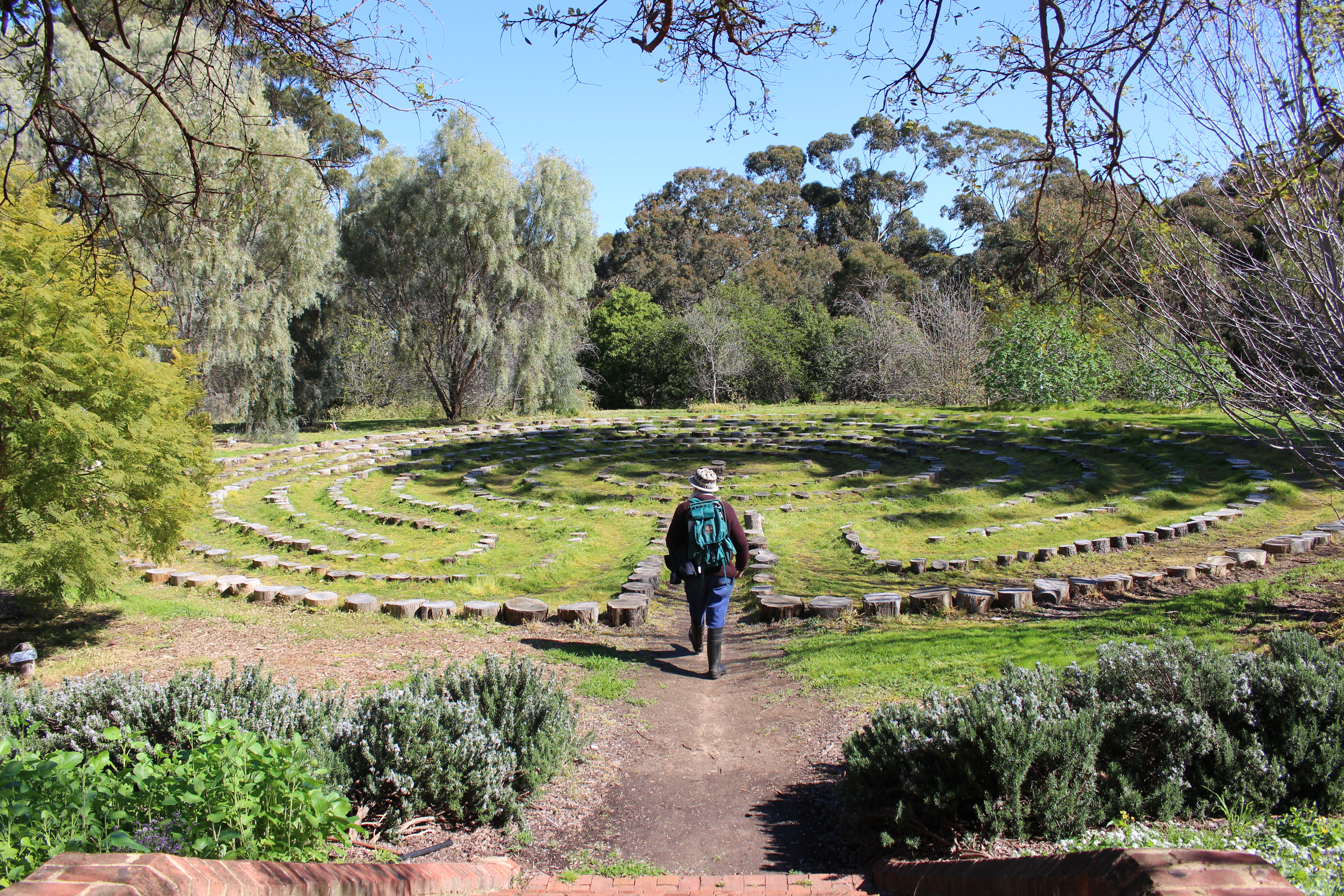 Labyrinth-with-Terry